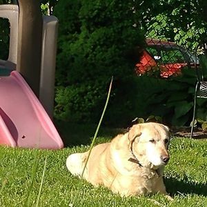 Meet your Posher, Richard